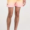 OAS 4" Swim Shorts