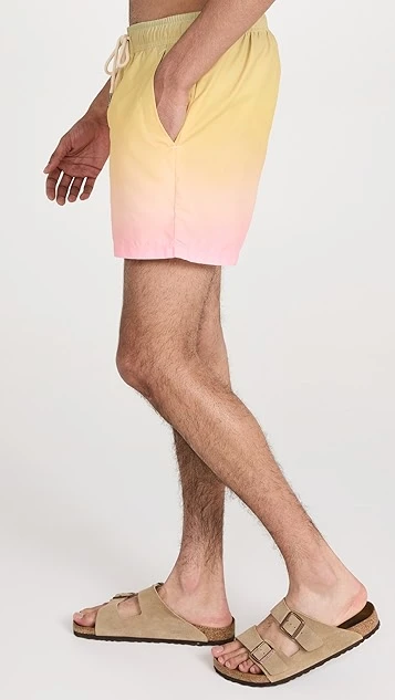 OAS 4" Swim Shorts 5 OAS 4" Swim Shorts - Image 3